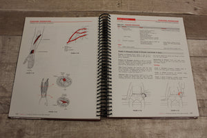 Muscle Testing Techniques Of Manual Examination By Helen J. Hislop -Used