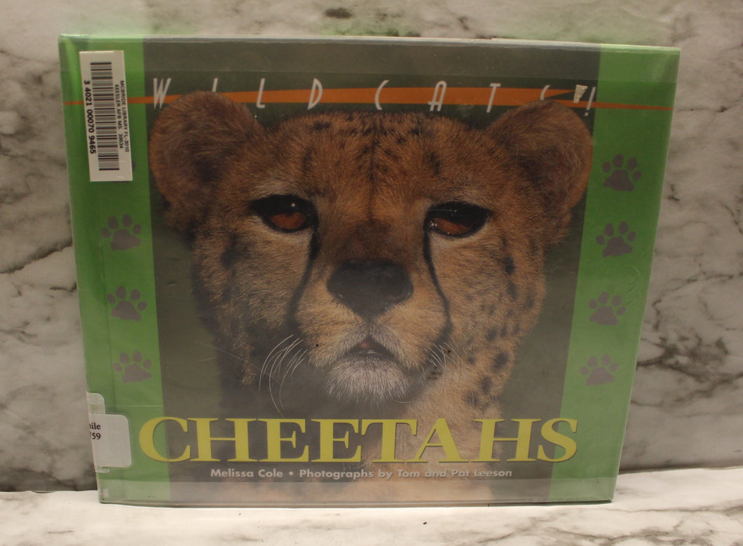Wild Cats of the World - Cheetahs - By Melissa Cole - USed
