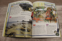 Load image into Gallery viewer, 100 Facts Seashore Softback Children&#39;s Learning Book -Used